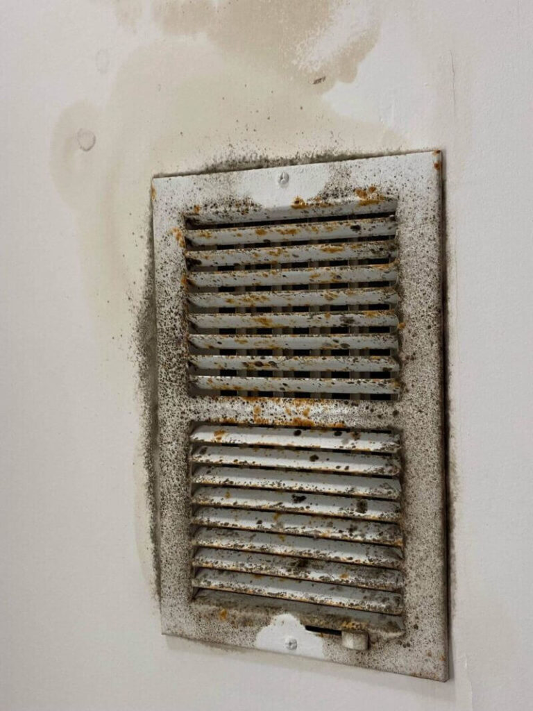 Moldy Vent Blue Ridge Heating And Air E1729800962833